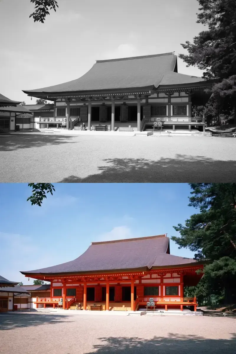 colorize black and white photo